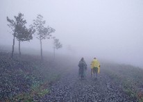 La incertidumbre del camino