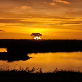 Una vez leí (IV)…. Una vez leí (IV)….