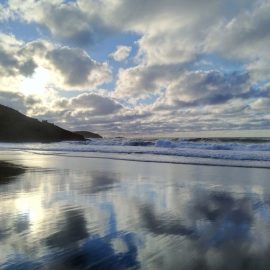 Una vez leí (V)… Una vez leí (V)…
